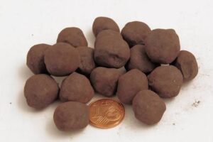 iron ore